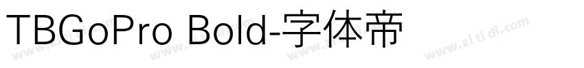 TBGoPro Bold字体转换